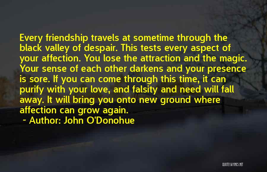 John O'Donohue Quotes: Every Friendship Travels At Sometime Through The Black Valley Of Despair. This Tests Every Aspect Of Your Affection. You Lose