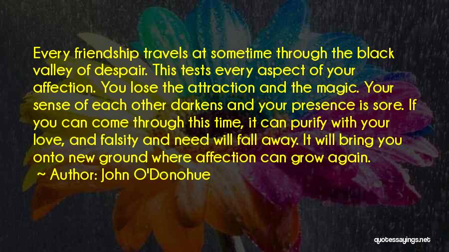 John O'Donohue Quotes: Every Friendship Travels At Sometime Through The Black Valley Of Despair. This Tests Every Aspect Of Your Affection. You Lose