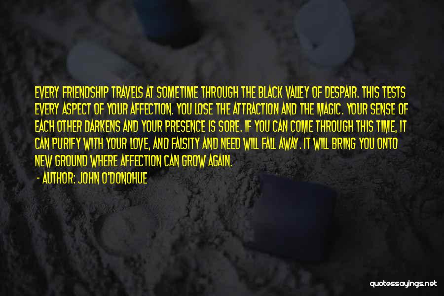 John O'Donohue Quotes: Every Friendship Travels At Sometime Through The Black Valley Of Despair. This Tests Every Aspect Of Your Affection. You Lose