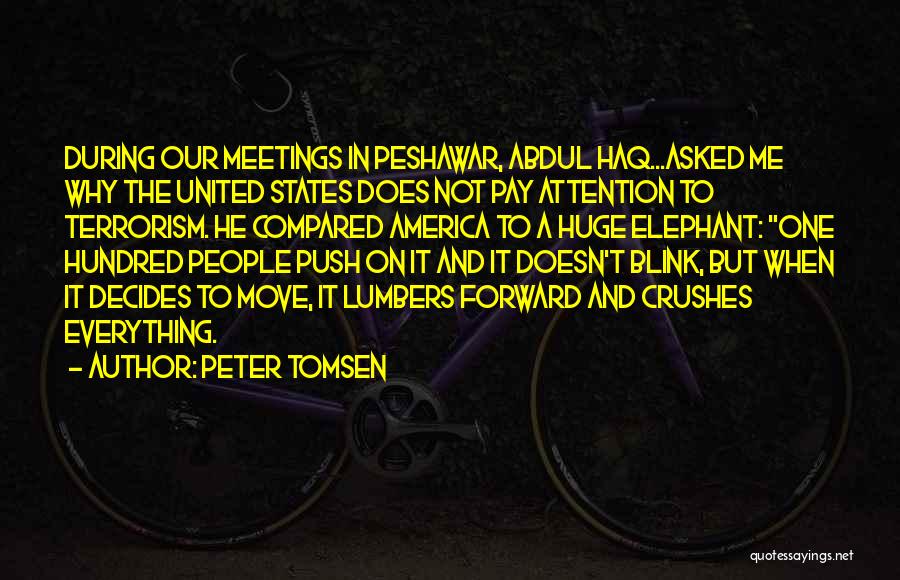 Peter Tomsen Quotes: During Our Meetings In Peshawar, Abdul Haq...asked Me Why The United States Does Not Pay Attention To Terrorism. He Compared