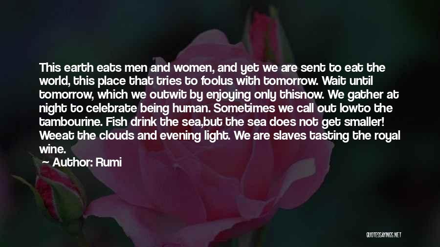 Rumi Quotes: This Earth Eats Men And Women, And Yet We Are Sent To Eat The World, This Place That Tries To