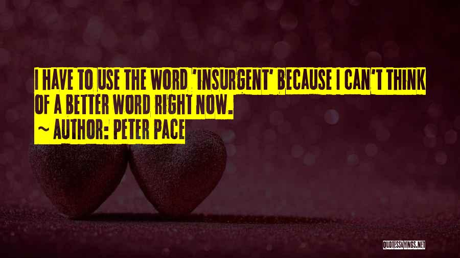 Peter Pace Quotes: I Have To Use The Word 'insurgent' Because I Can't Think Of A Better Word Right Now.