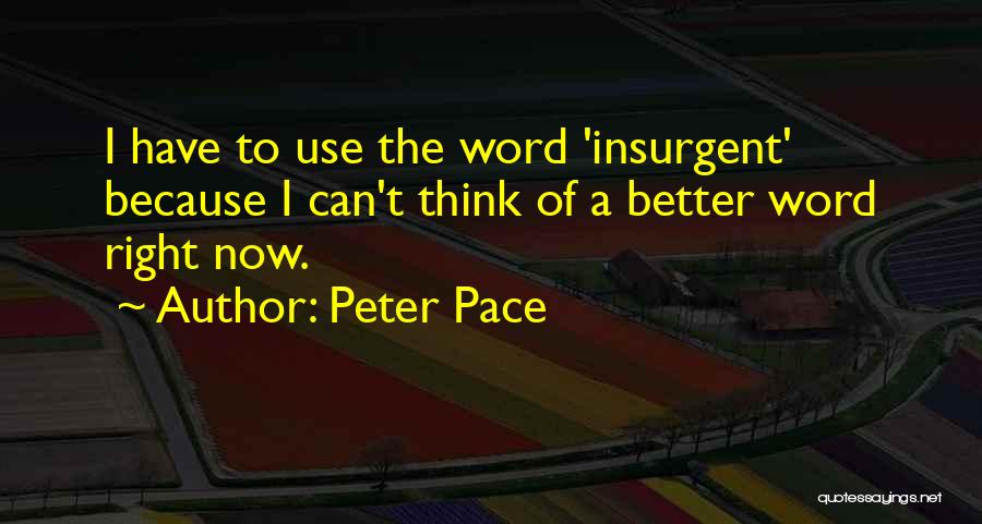 Peter Pace Quotes: I Have To Use The Word 'insurgent' Because I Can't Think Of A Better Word Right Now.