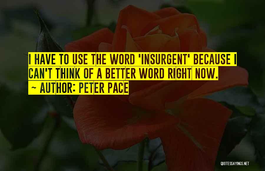 Peter Pace Quotes: I Have To Use The Word 'insurgent' Because I Can't Think Of A Better Word Right Now.