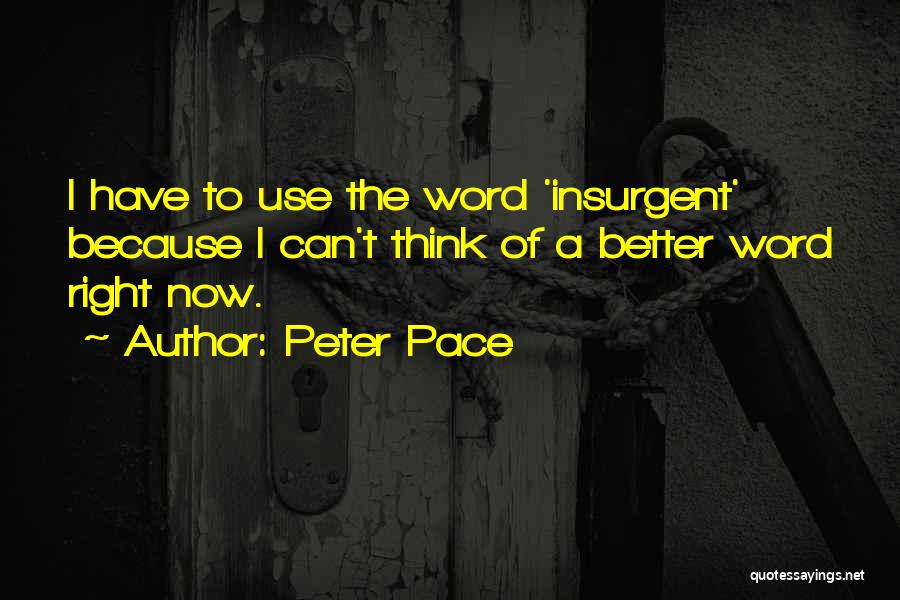 Peter Pace Quotes: I Have To Use The Word 'insurgent' Because I Can't Think Of A Better Word Right Now.