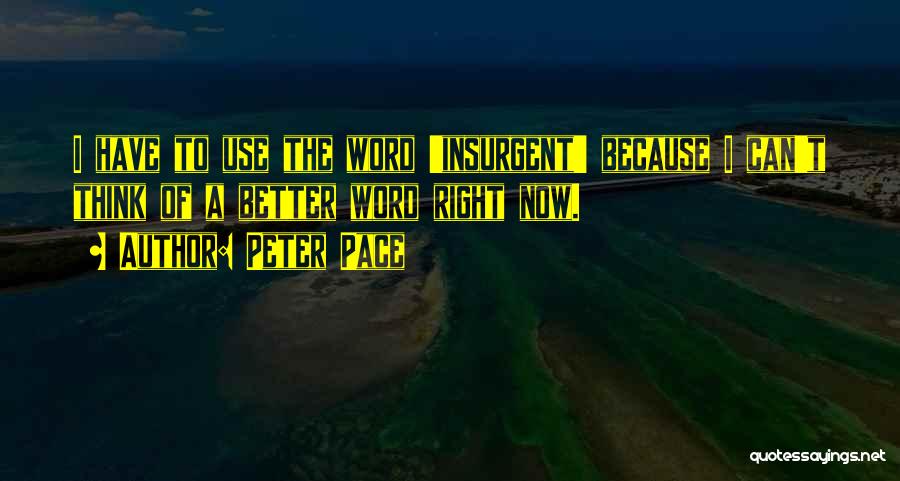 Peter Pace Quotes: I Have To Use The Word 'insurgent' Because I Can't Think Of A Better Word Right Now.