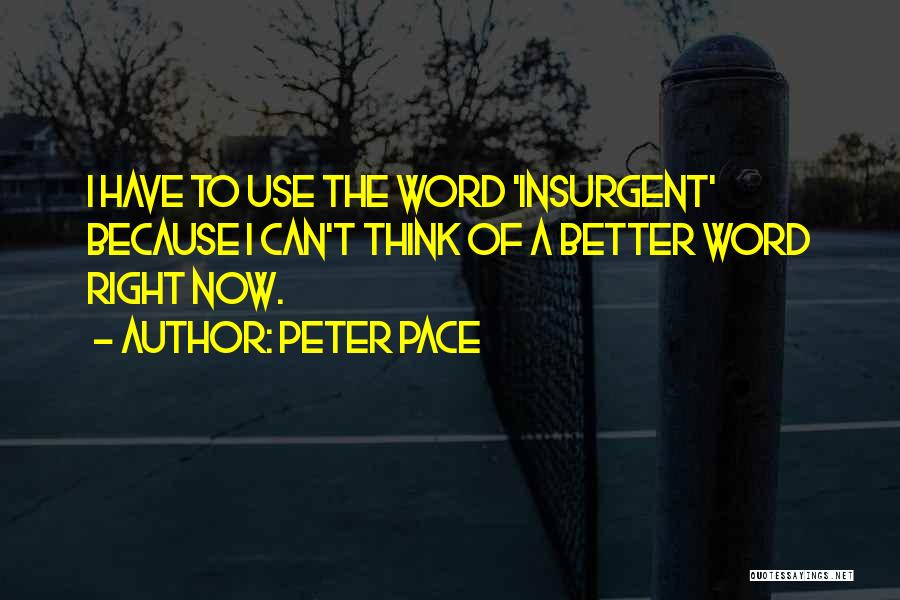 Peter Pace Quotes: I Have To Use The Word 'insurgent' Because I Can't Think Of A Better Word Right Now.