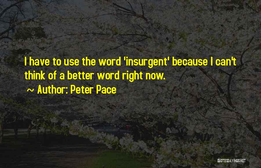 Peter Pace Quotes: I Have To Use The Word 'insurgent' Because I Can't Think Of A Better Word Right Now.