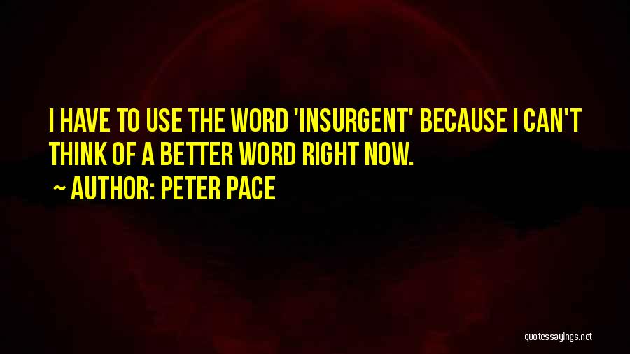 Peter Pace Quotes: I Have To Use The Word 'insurgent' Because I Can't Think Of A Better Word Right Now.