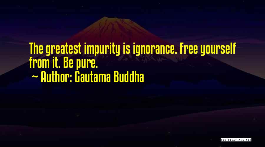 Gautama Buddha Quotes: The Greatest Impurity Is Ignorance. Free Yourself From It. Be Pure.