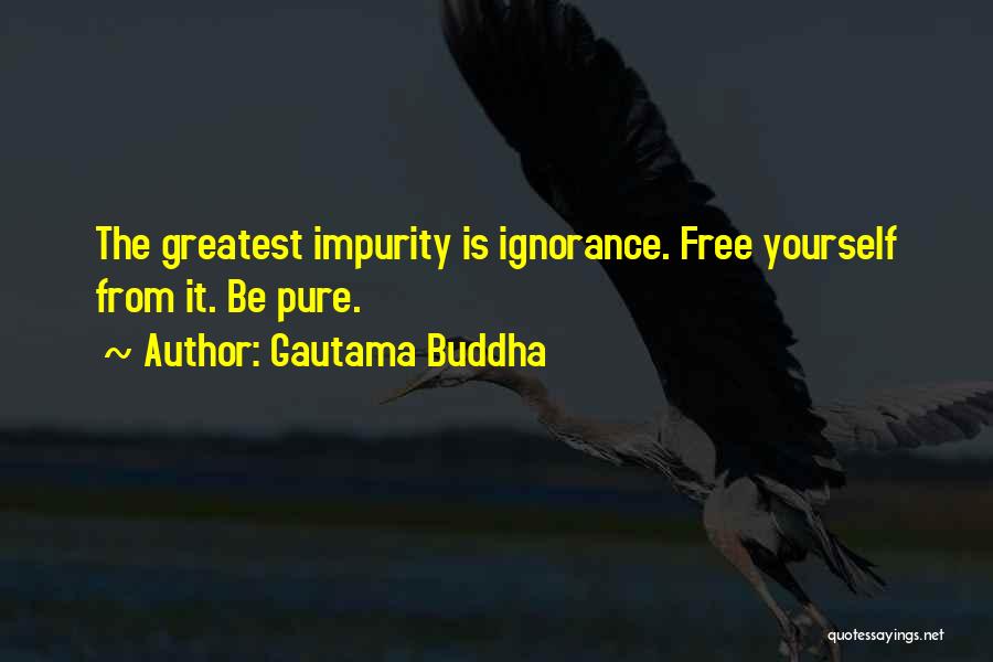 Gautama Buddha Quotes: The Greatest Impurity Is Ignorance. Free Yourself From It. Be Pure.