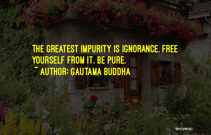 Gautama Buddha Quotes: The Greatest Impurity Is Ignorance. Free Yourself From It. Be Pure.