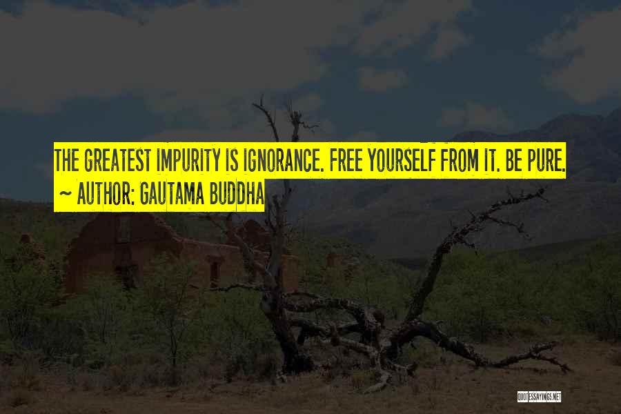 Gautama Buddha Quotes: The Greatest Impurity Is Ignorance. Free Yourself From It. Be Pure.