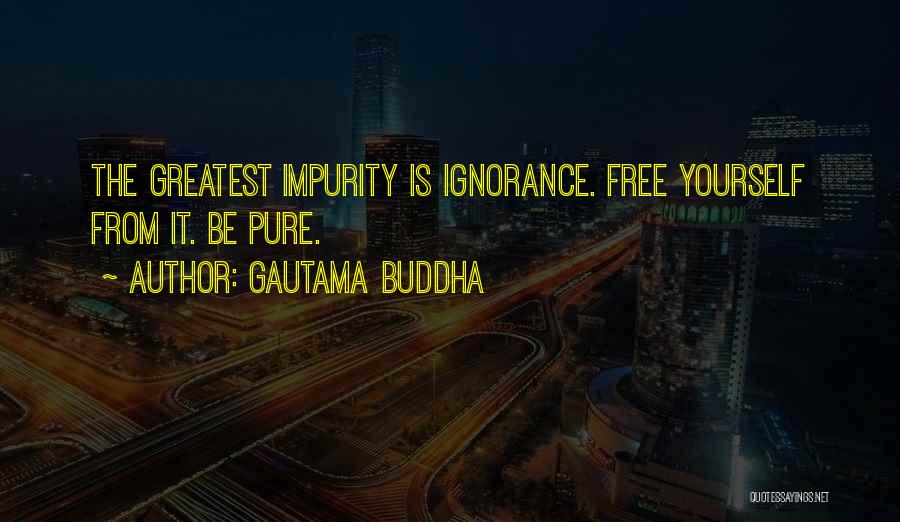 Gautama Buddha Quotes: The Greatest Impurity Is Ignorance. Free Yourself From It. Be Pure.