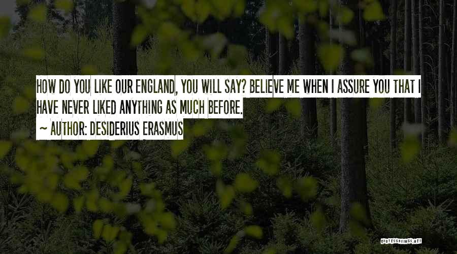 Desiderius Erasmus Quotes: How Do You Like Our England, You Will Say? Believe Me When I Assure You That I Have Never Liked