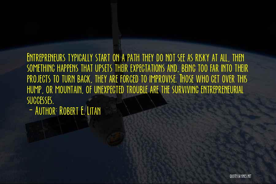 Robert E. Litan Quotes: Entrepreneurs Typically Start On A Path They Do Not See As Risky At All, Then Something Happens That Upsets Their