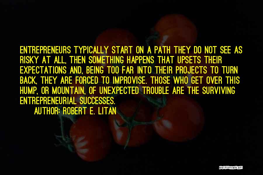 Robert E. Litan Quotes: Entrepreneurs Typically Start On A Path They Do Not See As Risky At All, Then Something Happens That Upsets Their