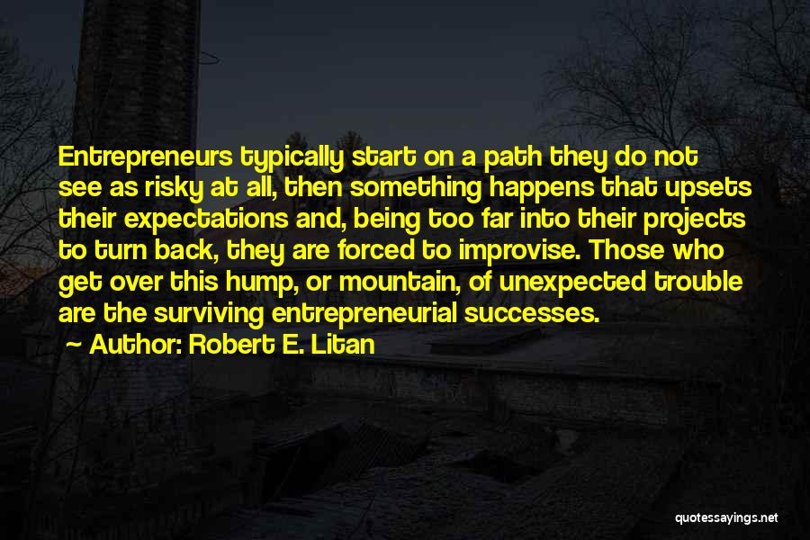 Robert E. Litan Quotes: Entrepreneurs Typically Start On A Path They Do Not See As Risky At All, Then Something Happens That Upsets Their