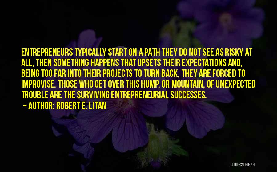 Robert E. Litan Quotes: Entrepreneurs Typically Start On A Path They Do Not See As Risky At All, Then Something Happens That Upsets Their