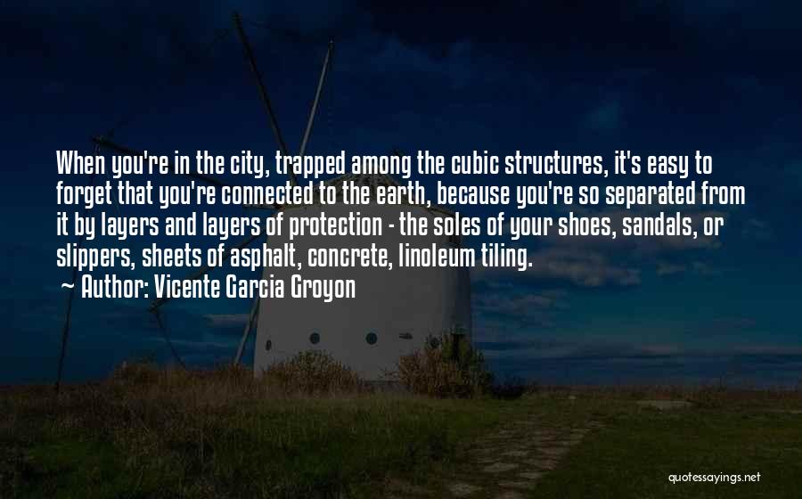 Vicente Garcia Groyon Quotes: When You're In The City, Trapped Among The Cubic Structures, It's Easy To Forget That You're Connected To The Earth,