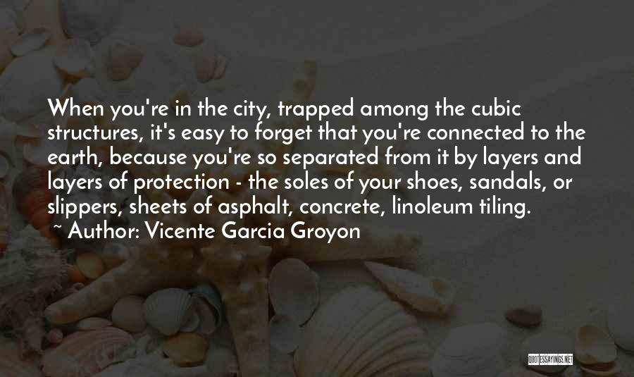 Vicente Garcia Groyon Quotes: When You're In The City, Trapped Among The Cubic Structures, It's Easy To Forget That You're Connected To The Earth,