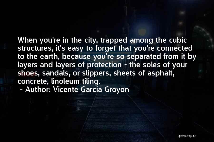 Vicente Garcia Groyon Quotes: When You're In The City, Trapped Among The Cubic Structures, It's Easy To Forget That You're Connected To The Earth,