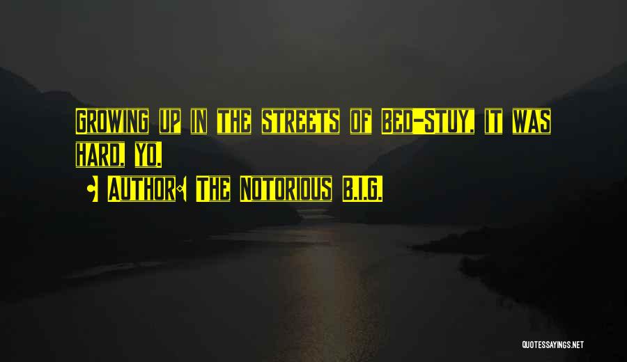 The Notorious B.I.G. Quotes: Growing Up In The Streets Of Bed-stuy, It Was Hard, Yo.