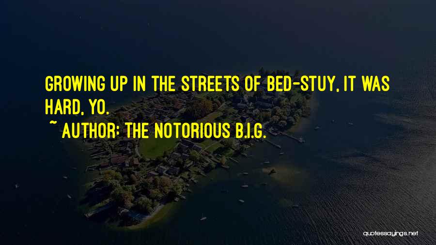 The Notorious B.I.G. Quotes: Growing Up In The Streets Of Bed-stuy, It Was Hard, Yo.