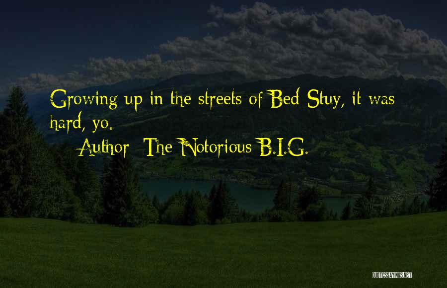 The Notorious B.I.G. Quotes: Growing Up In The Streets Of Bed-stuy, It Was Hard, Yo.