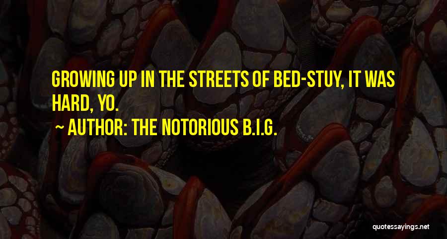 The Notorious B.I.G. Quotes: Growing Up In The Streets Of Bed-stuy, It Was Hard, Yo.