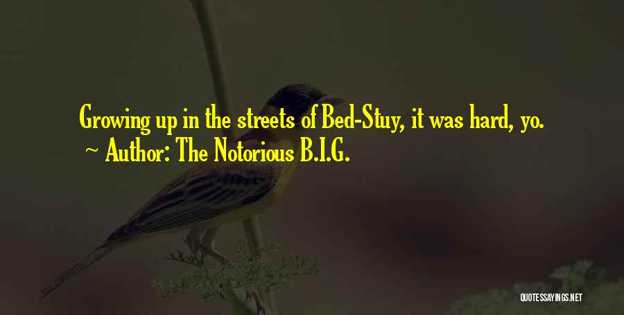 The Notorious B.I.G. Quotes: Growing Up In The Streets Of Bed-stuy, It Was Hard, Yo.