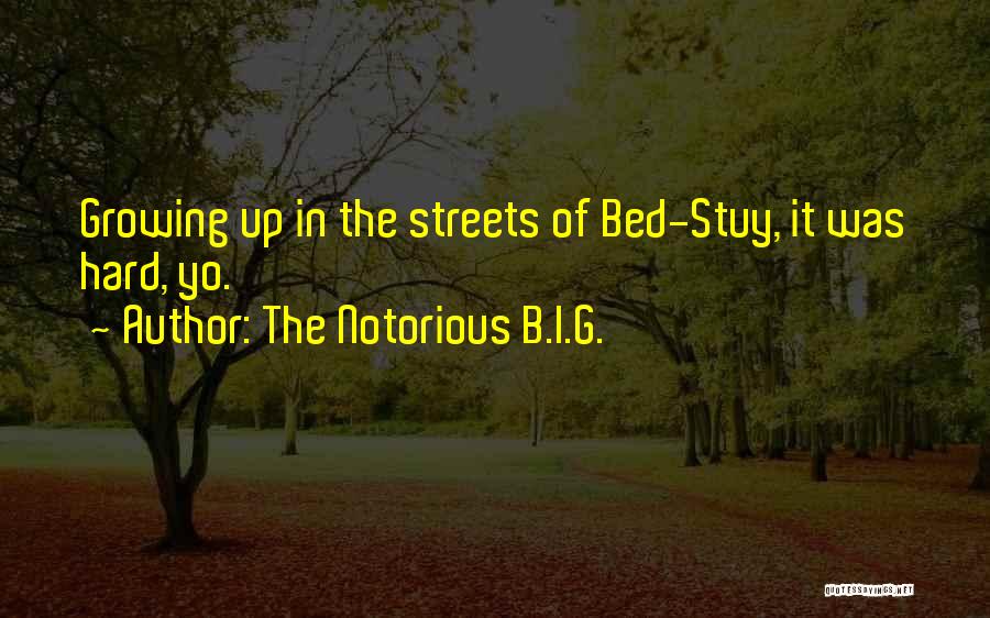 The Notorious B.I.G. Quotes: Growing Up In The Streets Of Bed-stuy, It Was Hard, Yo.