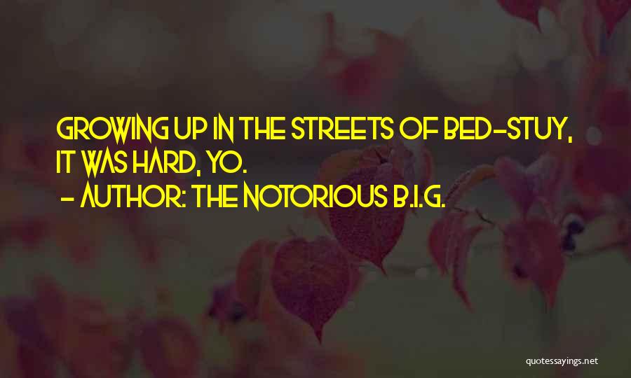 The Notorious B.I.G. Quotes: Growing Up In The Streets Of Bed-stuy, It Was Hard, Yo.