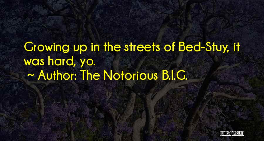 The Notorious B.I.G. Quotes: Growing Up In The Streets Of Bed-stuy, It Was Hard, Yo.