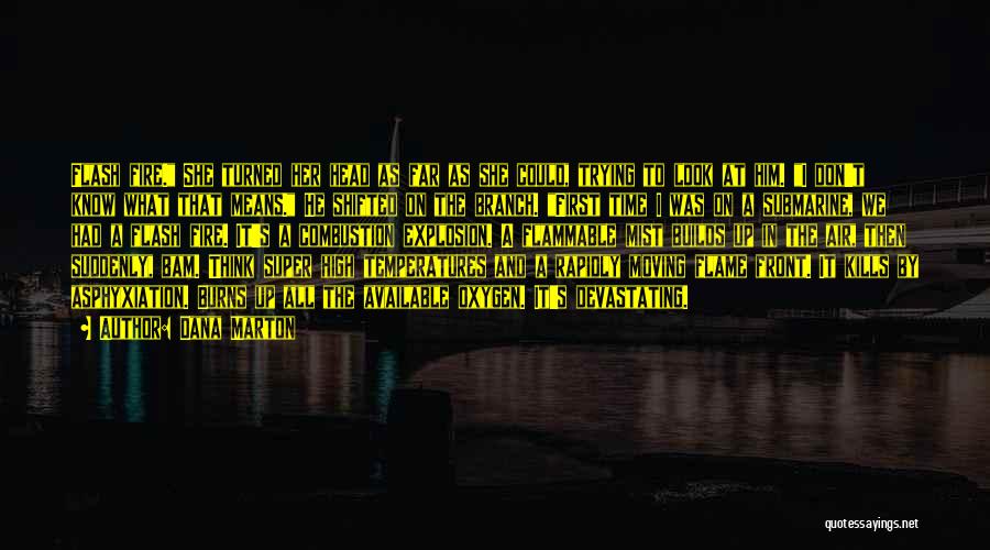 Dana Marton Quotes: Flash Fire. She Turned Her Head As Far As She Could, Trying To Look At Him. I Don't Know What