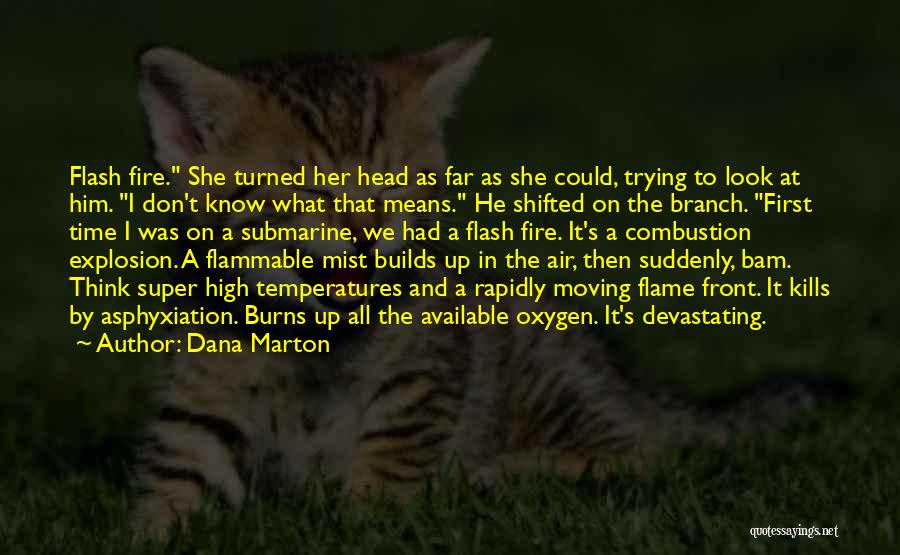 Dana Marton Quotes: Flash Fire. She Turned Her Head As Far As She Could, Trying To Look At Him. I Don't Know What