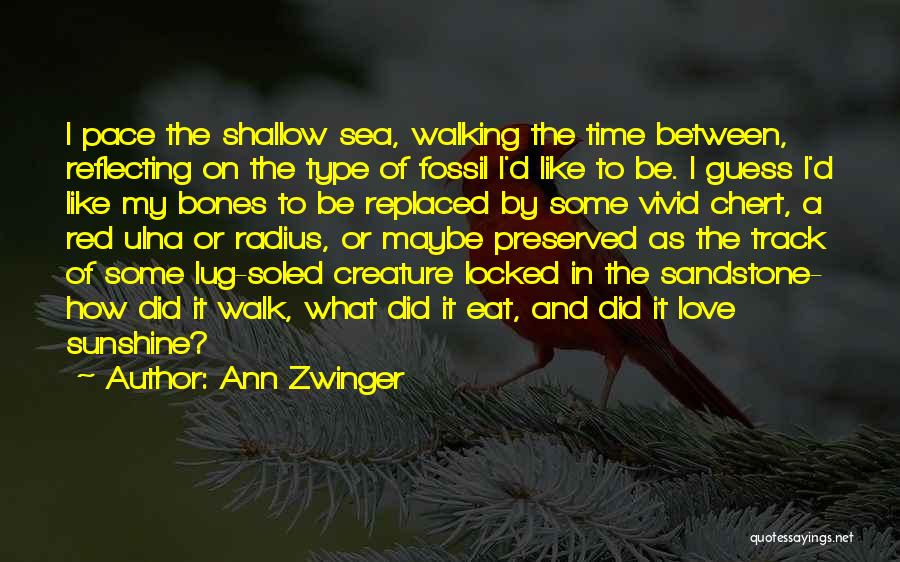 Ann Zwinger Quotes: I Pace The Shallow Sea, Walking The Time Between, Reflecting On The Type Of Fossil I'd Like To Be. I
