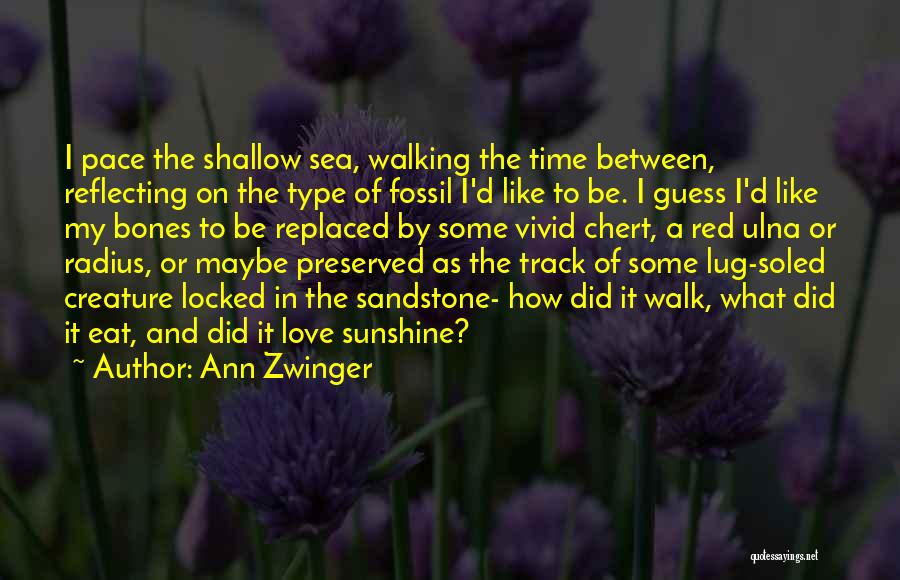 Ann Zwinger Quotes: I Pace The Shallow Sea, Walking The Time Between, Reflecting On The Type Of Fossil I'd Like To Be. I