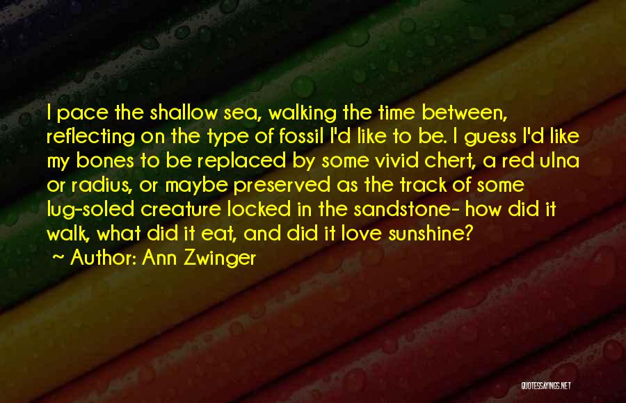 Ann Zwinger Quotes: I Pace The Shallow Sea, Walking The Time Between, Reflecting On The Type Of Fossil I'd Like To Be. I