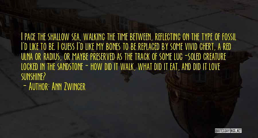 Ann Zwinger Quotes: I Pace The Shallow Sea, Walking The Time Between, Reflecting On The Type Of Fossil I'd Like To Be. I