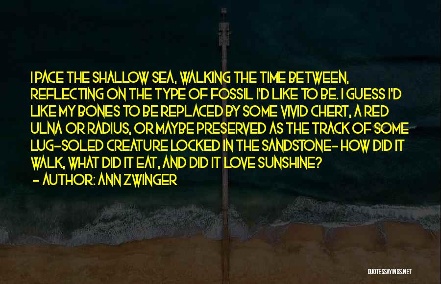 Ann Zwinger Quotes: I Pace The Shallow Sea, Walking The Time Between, Reflecting On The Type Of Fossil I'd Like To Be. I