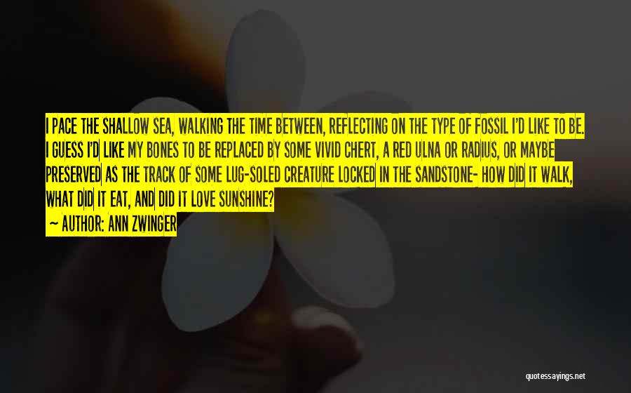 Ann Zwinger Quotes: I Pace The Shallow Sea, Walking The Time Between, Reflecting On The Type Of Fossil I'd Like To Be. I