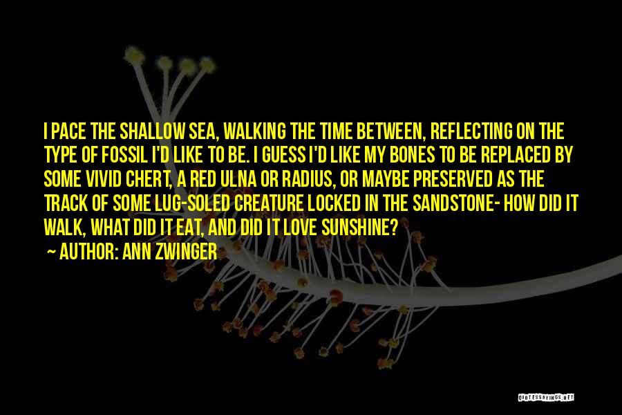 Ann Zwinger Quotes: I Pace The Shallow Sea, Walking The Time Between, Reflecting On The Type Of Fossil I'd Like To Be. I