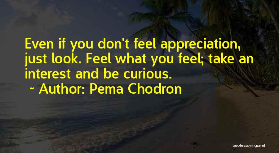 Pema Chodron Quotes: Even If You Don't Feel Appreciation, Just Look. Feel What You Feel; Take An Interest And Be Curious.