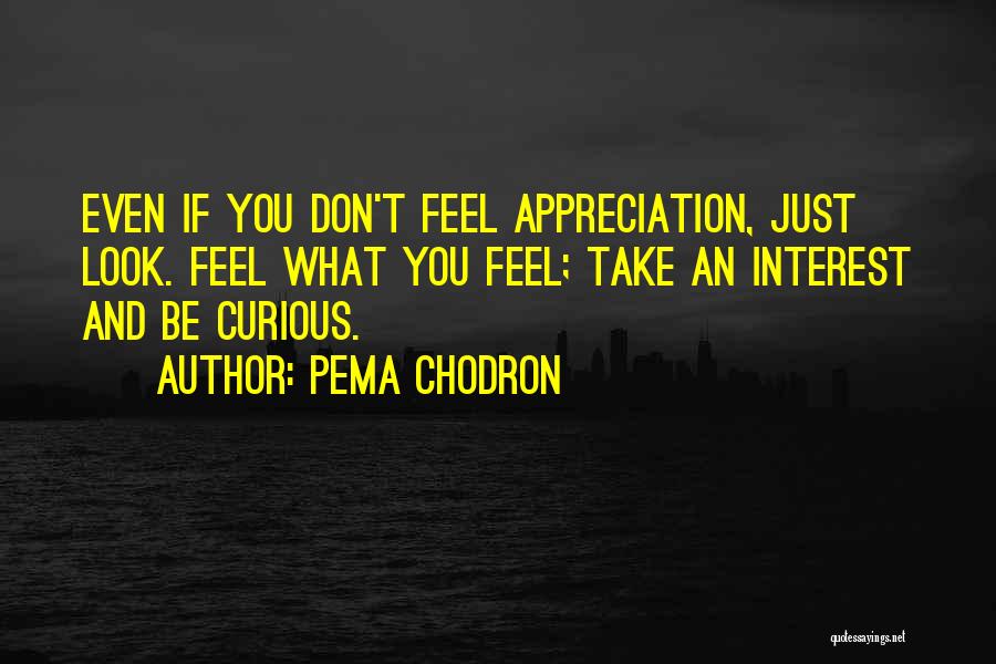 Pema Chodron Quotes: Even If You Don't Feel Appreciation, Just Look. Feel What You Feel; Take An Interest And Be Curious.