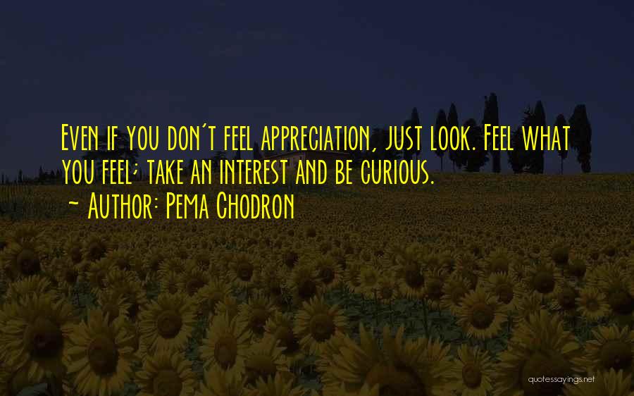 Pema Chodron Quotes: Even If You Don't Feel Appreciation, Just Look. Feel What You Feel; Take An Interest And Be Curious.