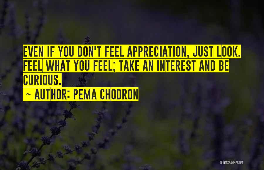Pema Chodron Quotes: Even If You Don't Feel Appreciation, Just Look. Feel What You Feel; Take An Interest And Be Curious.