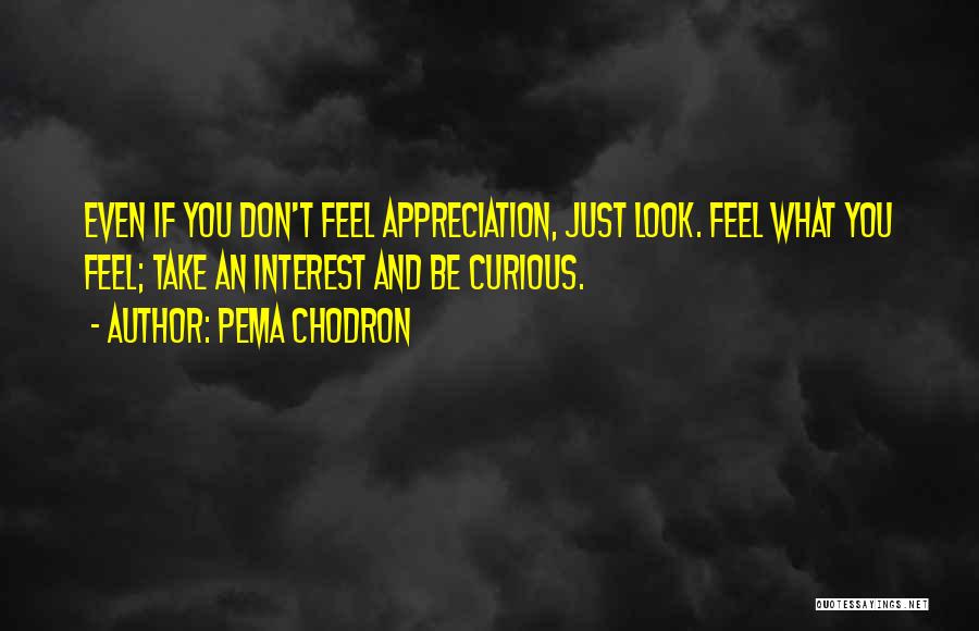 Pema Chodron Quotes: Even If You Don't Feel Appreciation, Just Look. Feel What You Feel; Take An Interest And Be Curious.