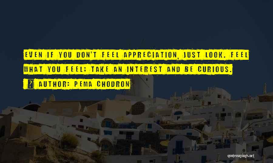 Pema Chodron Quotes: Even If You Don't Feel Appreciation, Just Look. Feel What You Feel; Take An Interest And Be Curious.