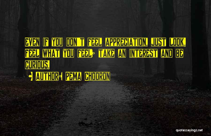 Pema Chodron Quotes: Even If You Don't Feel Appreciation, Just Look. Feel What You Feel; Take An Interest And Be Curious.